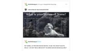 The original Tumblr post that gave rise to the Moon Moon meme (Image via kitchikishangout/Tumblr)
